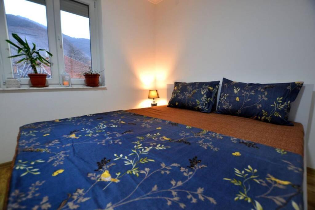 View Apartments Belasica Mokrijevo Extérieur photo